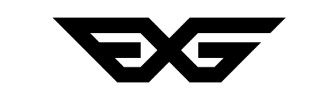 exg1